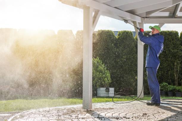 Best Animal Enclosure Cleaning  in South Chicago Heights, IL